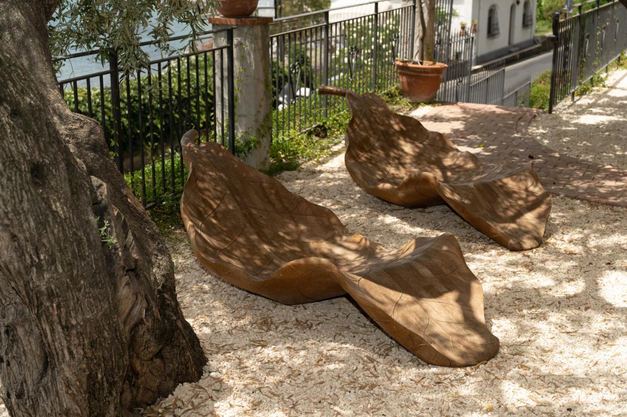 Degli Ulivi *
