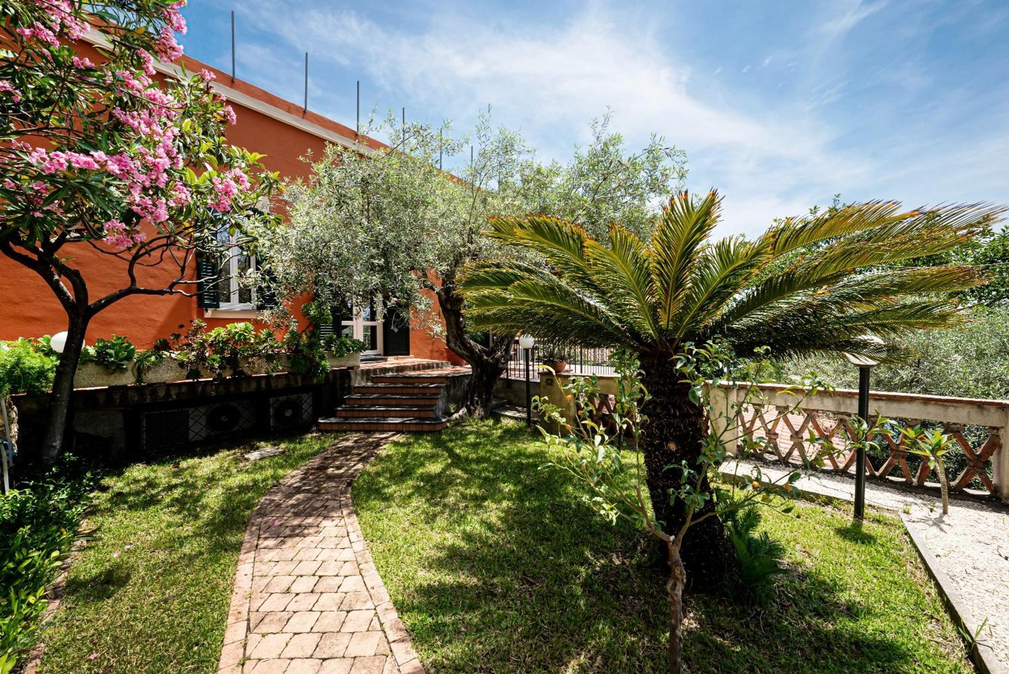 Degli Ulivi *