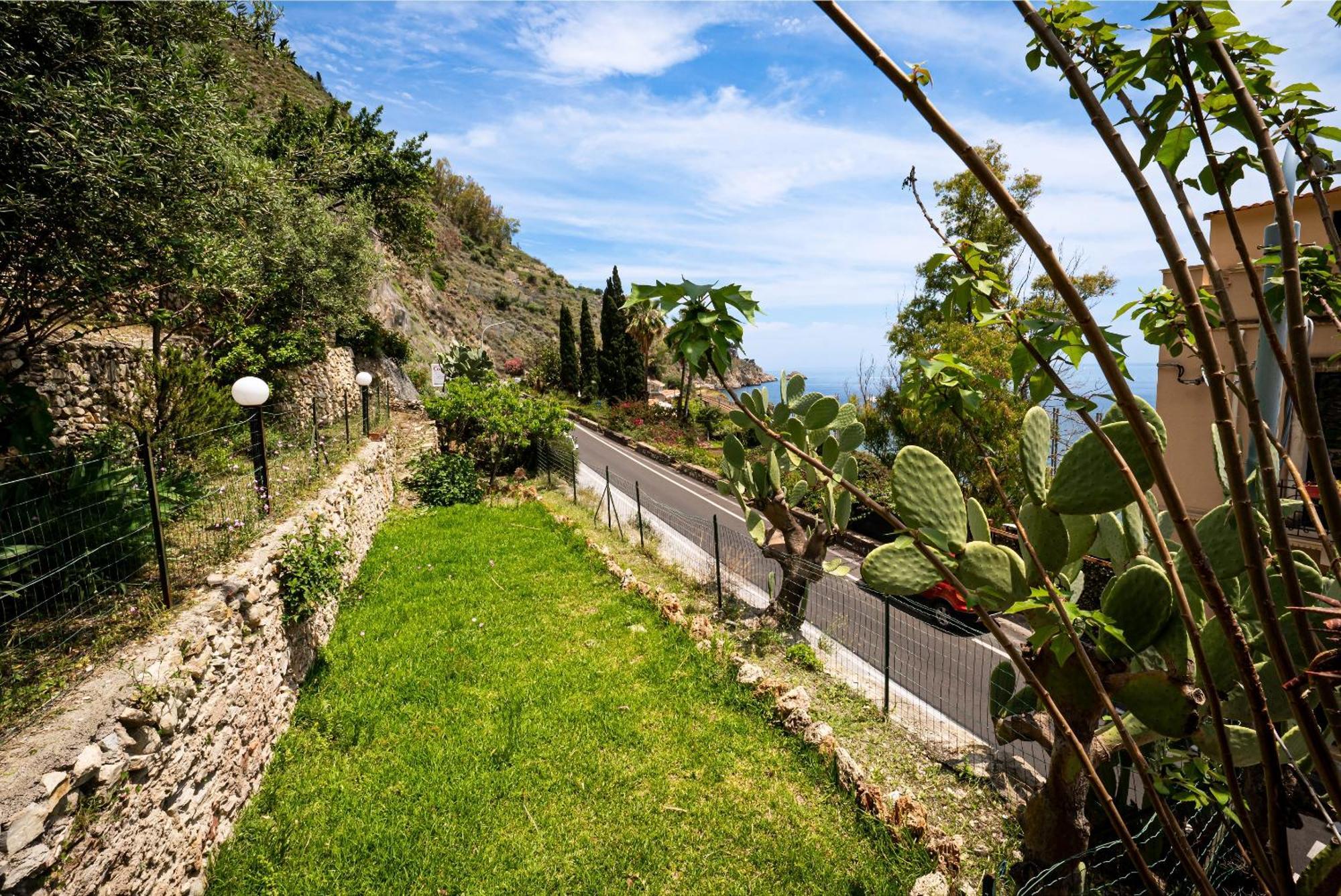Degli Ulivi