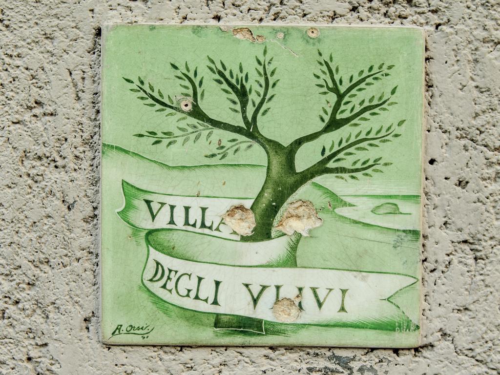 Degli Ulivi *