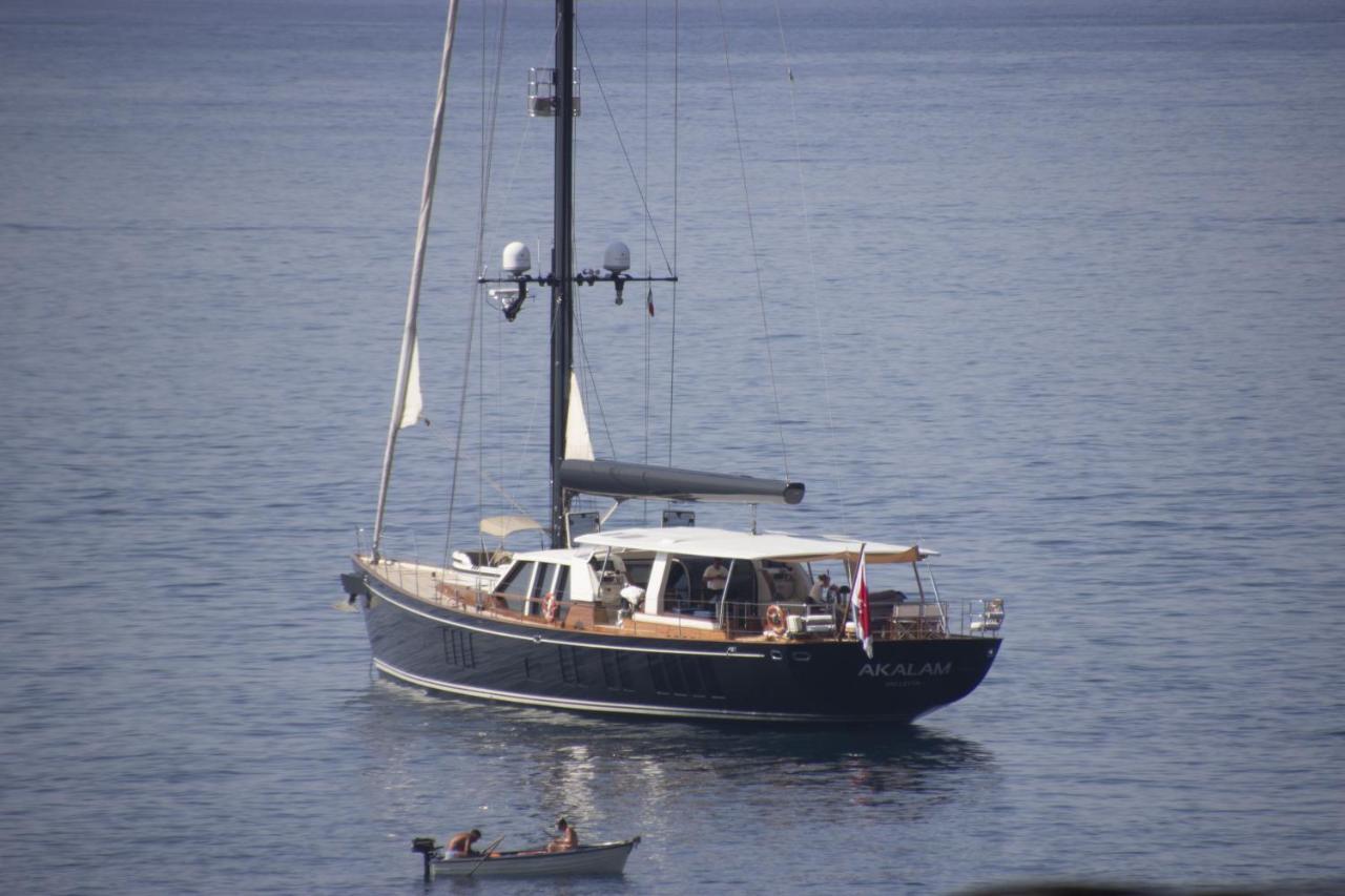 Degli Ulivi *